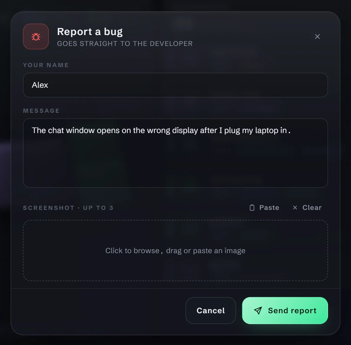 Reporting a bug with screenshots
